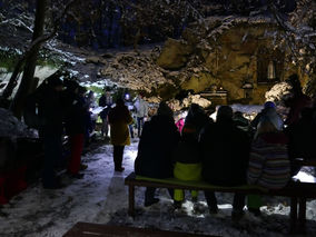 Waldadvent in der Fatima-Grotte (Foto: Karl-Franz Thiede)